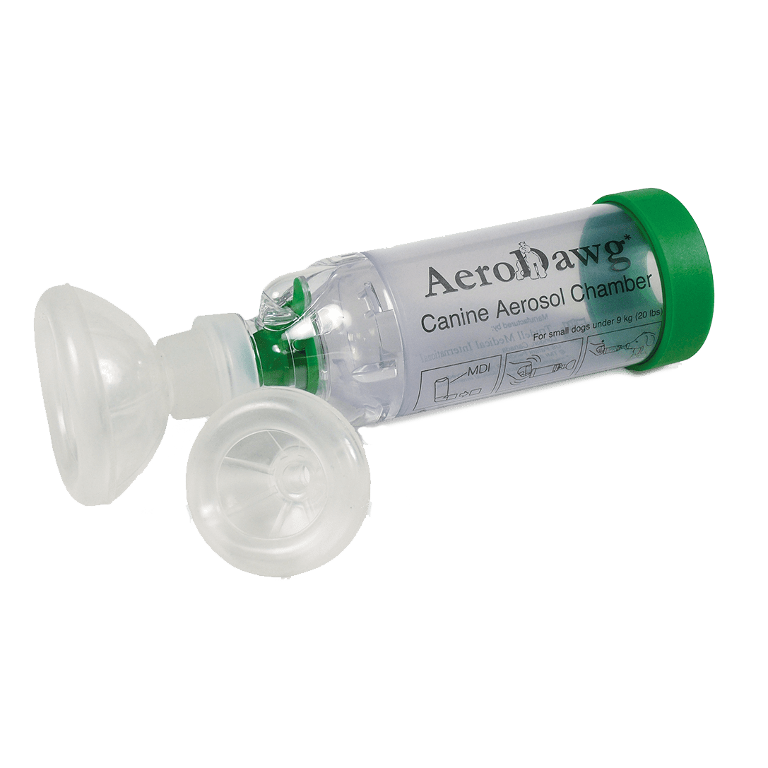 Aerodog