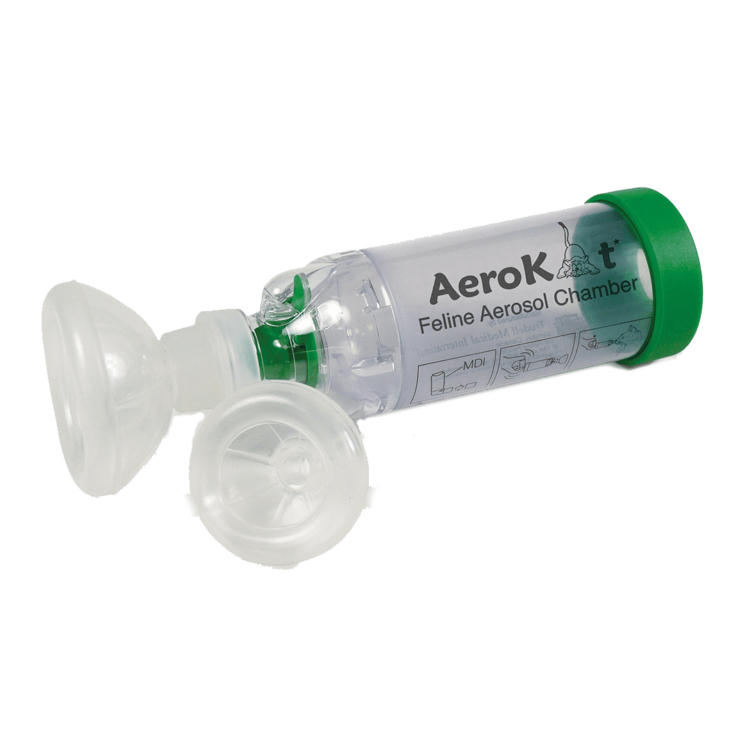aerokat breatheazy breatheazy