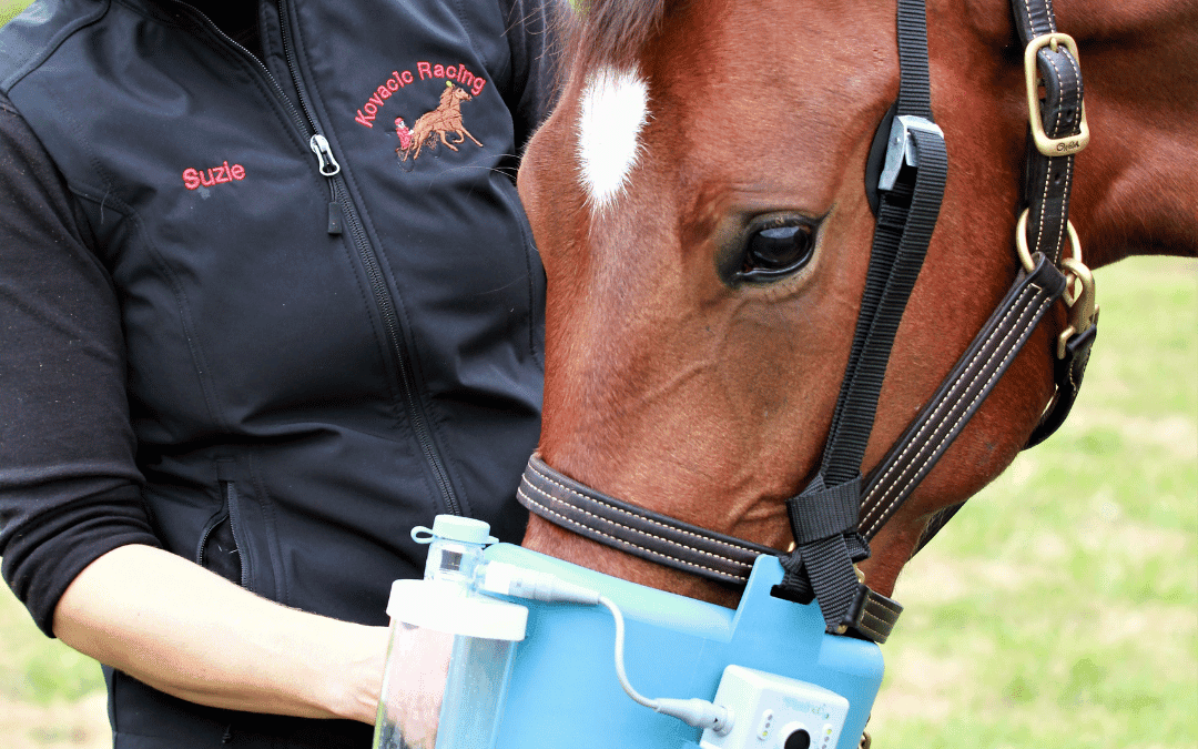 Does my horse need a nebuliser or inhaler?