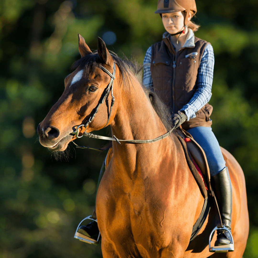 Why does my horse cough when I ride him/her? BreathEazy