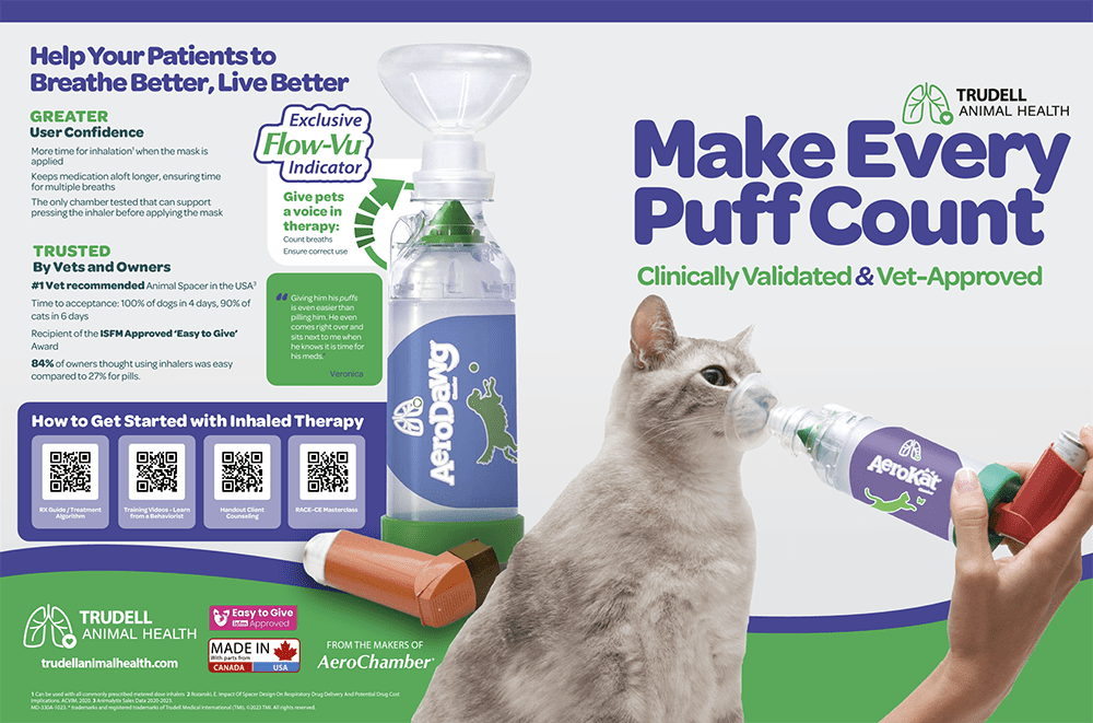 Giving a cat inhaled asthma medication shop