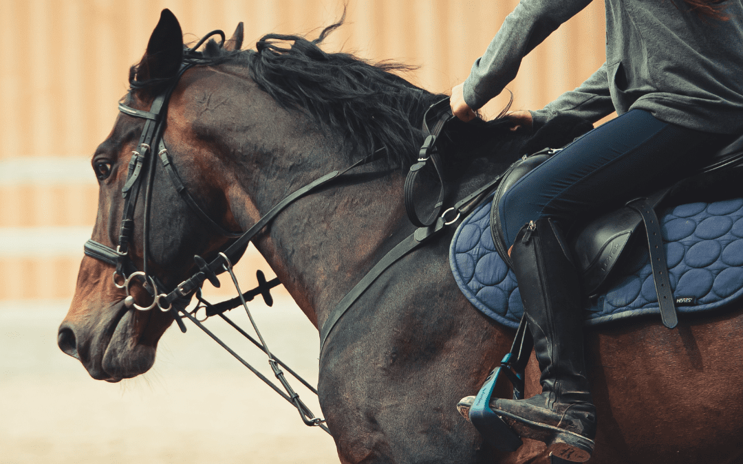 nebulised lidocaine in healthy horses