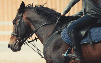 Effects and pharmacokinetics of nebulised lidocaine