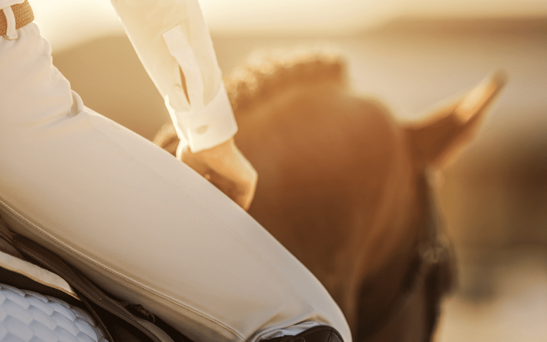 Effects of low-dust forages in Thoroughbred racehorse