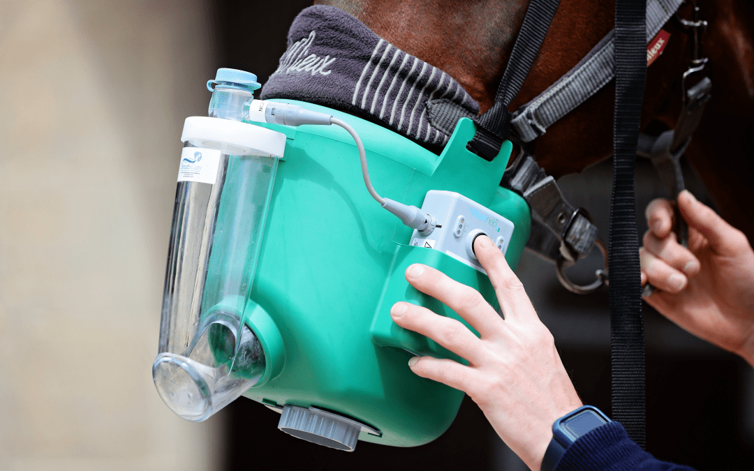 How to keep your horse’s breathing at its best