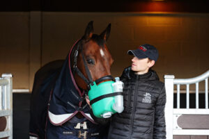 Equine respiratory health