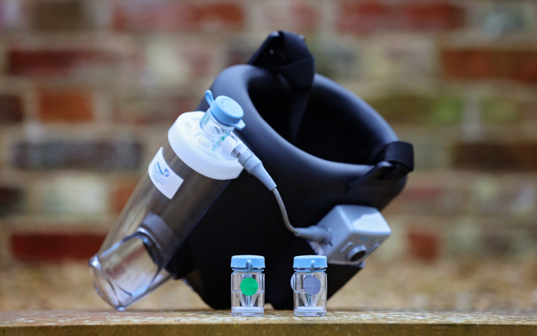 saline nebulisation for horses