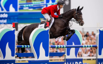 How equine respiratory health affects athletic potential