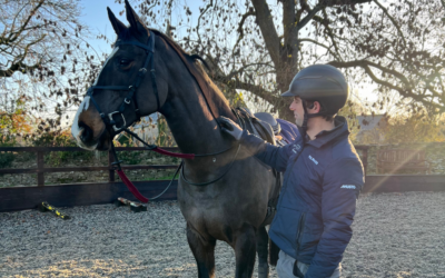 Equine Asthma Explained: Causes, Symptoms and Treatment Options